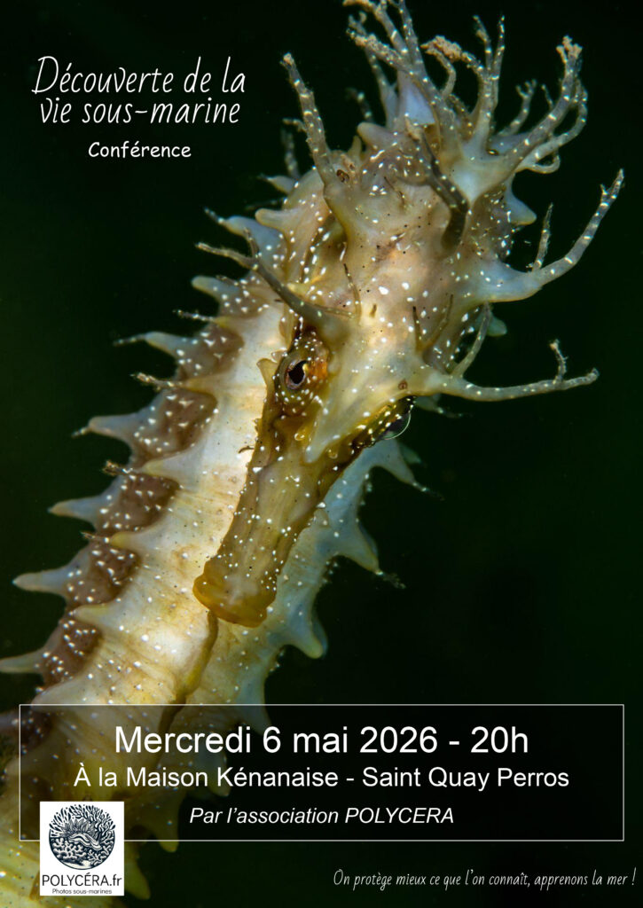 POLYCERA